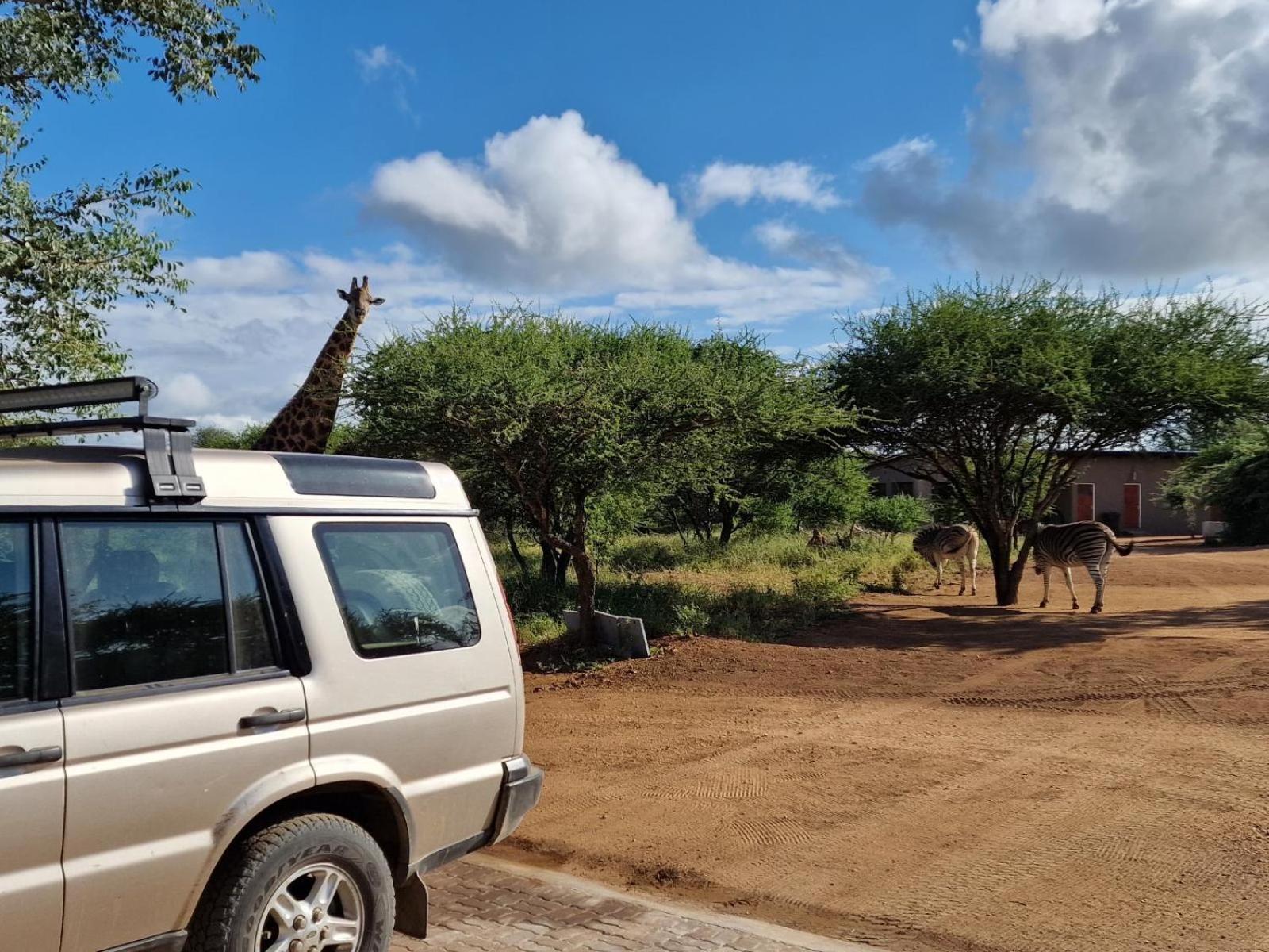 Thandolwami Bushlodge & Spa 호에드스프뤼트 외부 사진
