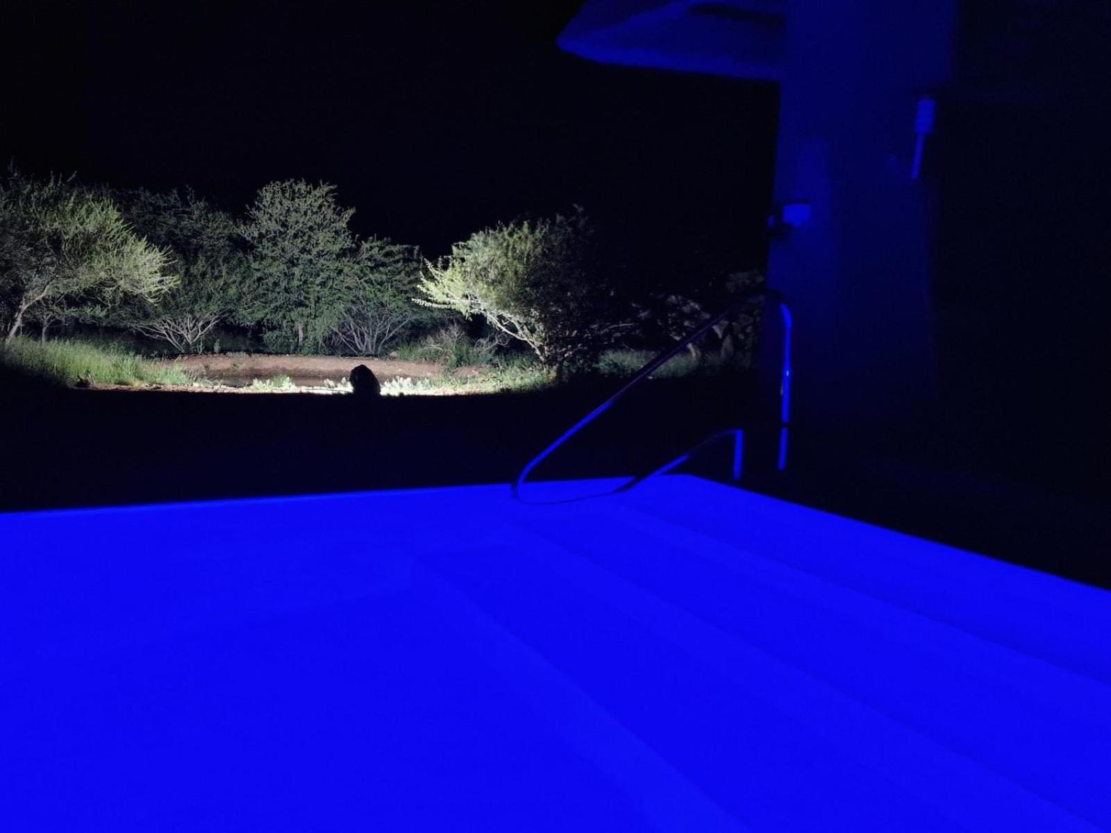Thandolwami Bushlodge & Spa 호에드스프뤼트 객실 사진