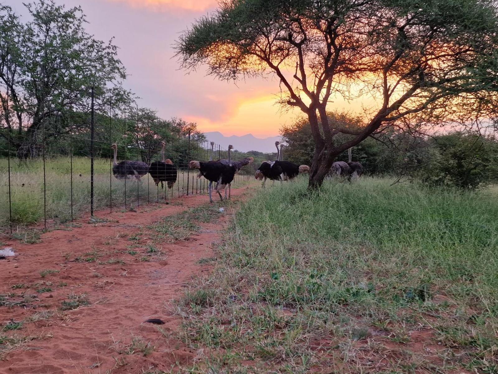 Thandolwami Bushlodge & Spa 호에드스프뤼트 외부 사진